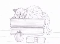 Librarian\'s Cat